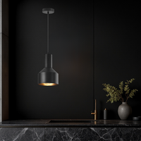 Пендел Модерен 1xE27 Arcane Black