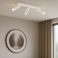 Осветително тяло LED с 3 регулируеми спота AMBALA White