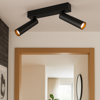 LED осветително тяло с 2 регулируеми спота AMBALA Black