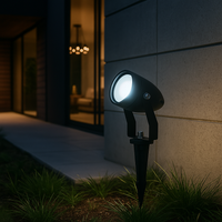 LED градински спот KOLVI 15W студена светлина черен