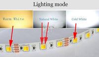 LED лента 5025 CCT 120 SMD-ML за интериор 3 функции - ролка 5 метра