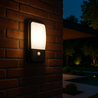Aplica LED Exterior 20W cu Senzor BG38-00402 APLICA PERETE / NEAGRA Lighting Fixtures