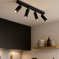 LED осветително тяло с 4 регулируеми спота AMBALA Black