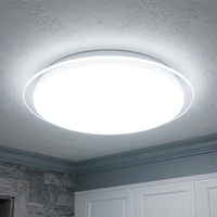 LED плафон PAOLA кръгъл еквивалент 200W