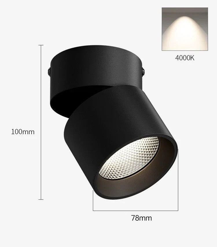 Spot LED Cilindric Aplicat Orientabil Negru 10W Lumina Neutra SPOT LED APLICAT / 10W / NEAGRA led ceiling light