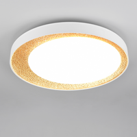 Осветително тяло LED ALETA Gold Premium с дистанционно