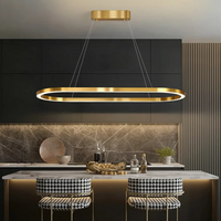 Осветително тяло LED KING Gold 1 Сегмент Овал Еквивалент 400W Дистанционно