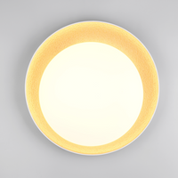 Осветително тяло LED ALETA Gold Premium с дистанционно