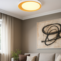 Осветително тяло LED ALETA Gold Premium с дистанционно