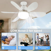 Bec LED E27 30W cu Ventilator 3 Lumini si telecomanda 3 FUNCTII / VENTILATOR / E27 Lighting Fixtures