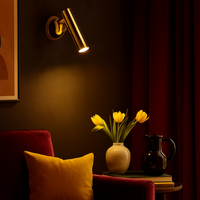 LED спот 5W Gold стенен подвижен Kinkiet LOYA