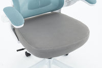 Офис стол, синьо-сив WF-005