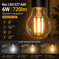 LED крушка E27 6W Филамент A60