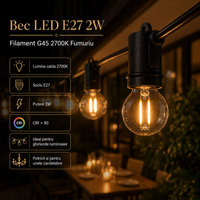 LED крушка E27 2W Филамент G45 за гирлянд