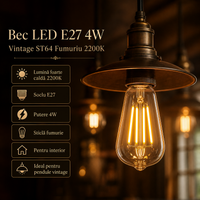 LED крушка E27 винтидж ST64 4W