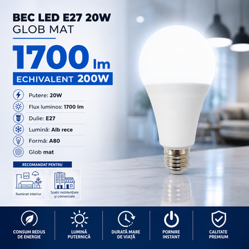 LED крушка E27 20W A80 матов глобус