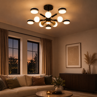 LED осветително тяло Maxi Fenora Black еквивалент 500W с дистанционно управление