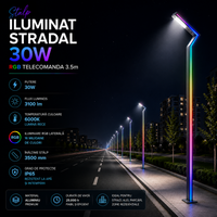 Уличен осветителен стълб 30W RGB с дистанционно 3.5m