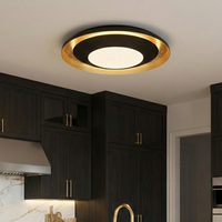 Аплик/Плафон LED Premium CANICOSA 2 Еквивалент 300W Дистанционно управление