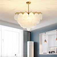Полилей Golden Cristal Alexander 60cm