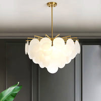 Полилей Golden Cristal Alexander 60cm