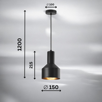 Пендел Модерен 1xE27 Arcane Black