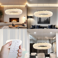 Осветително тяло LED висящо Chrome Crystal Sponge 1 кръгъл сегмент