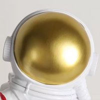 Аплик Astronaut 1xG9