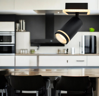 Регулируем LED спот 24W NOIR GLOW еквивалент 200W