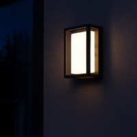 Външен стенен аплик LED Witham