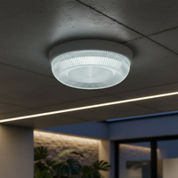 LED плафон GLYNT 25W за външен монтаж IP44