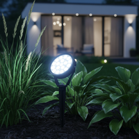 LED градински спот Lollipop 9W студена светлина черен