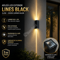LED аплик за външен монтаж 2x3W LINES Черен