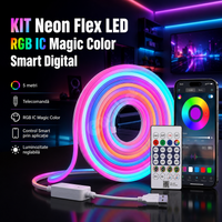 КОМПЛЕКТ NEON FLEX LED RGB IC SMART DIGITAL 12V 5m Дистанционно