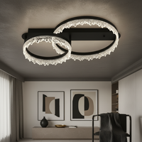 LED осветително тяло 2 CIRCLE VALS Еквивалент 300W С дистанционно