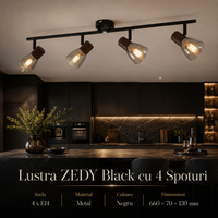 Осветително тяло ZEDY Black с 4 спота