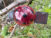 Калинка със соларно зареждане LADYBUG